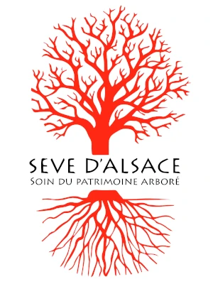 logo_seve-alsace