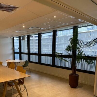 Decoratif vitre 3